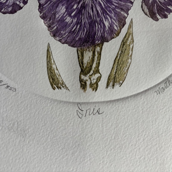 Iris etching signed/numbered Martha Hinson - Picture 3 of 4